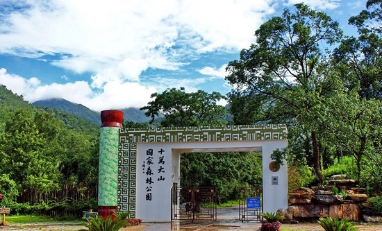广西十万大山国家森林公园被大众误导的土匪窝其实是珠江源头