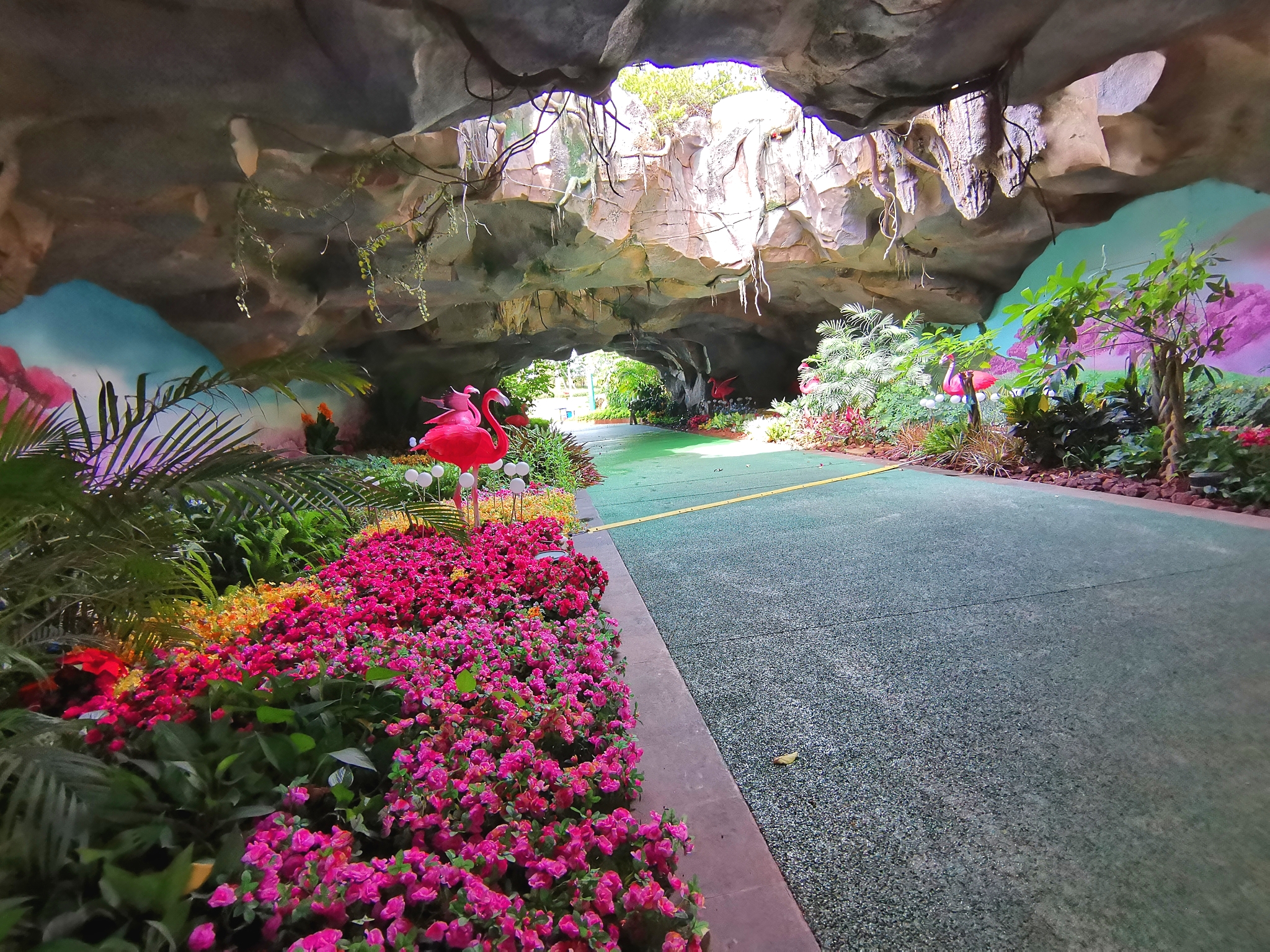 海南海花岛上的珍奇植物园如今真的有点坑还我35元门票钱