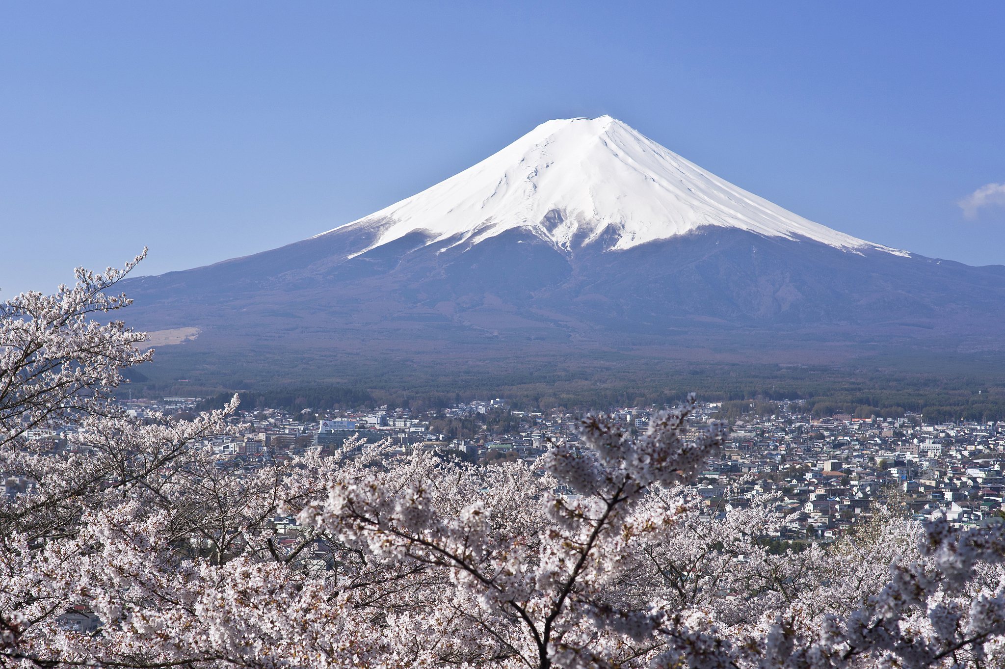 会影响我国吗？日本为富士山可能喷发做准备，会引发无夏之年吗？_人民号