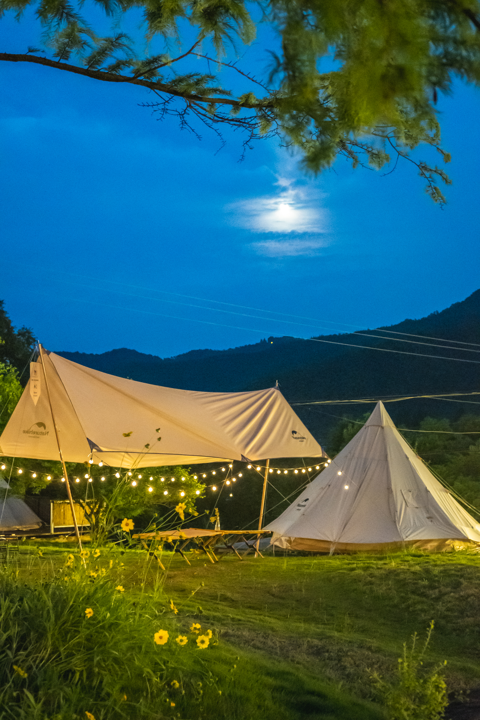 清栖莫干山青山环绕竹林幽幽民宿里的恬适生活让人十分放松