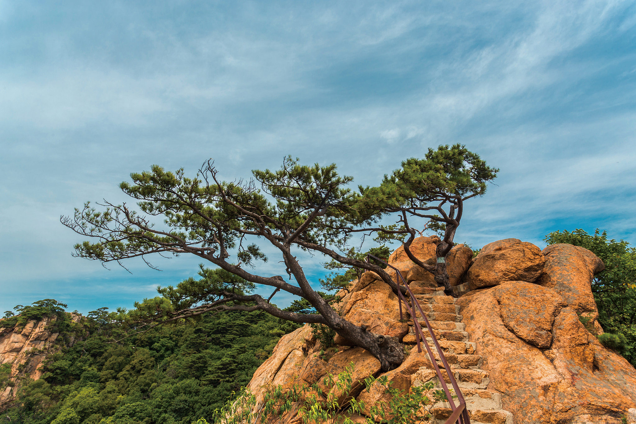 千山在辽宁省的名气很大,的确是因为这里的风景宜人,而且千山的高度在