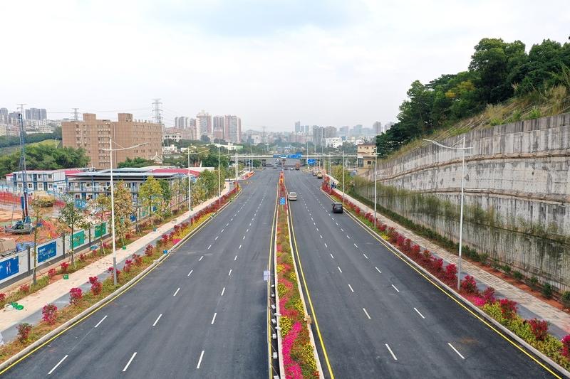 其通車對促進龍華區域社會經濟發展意義重大