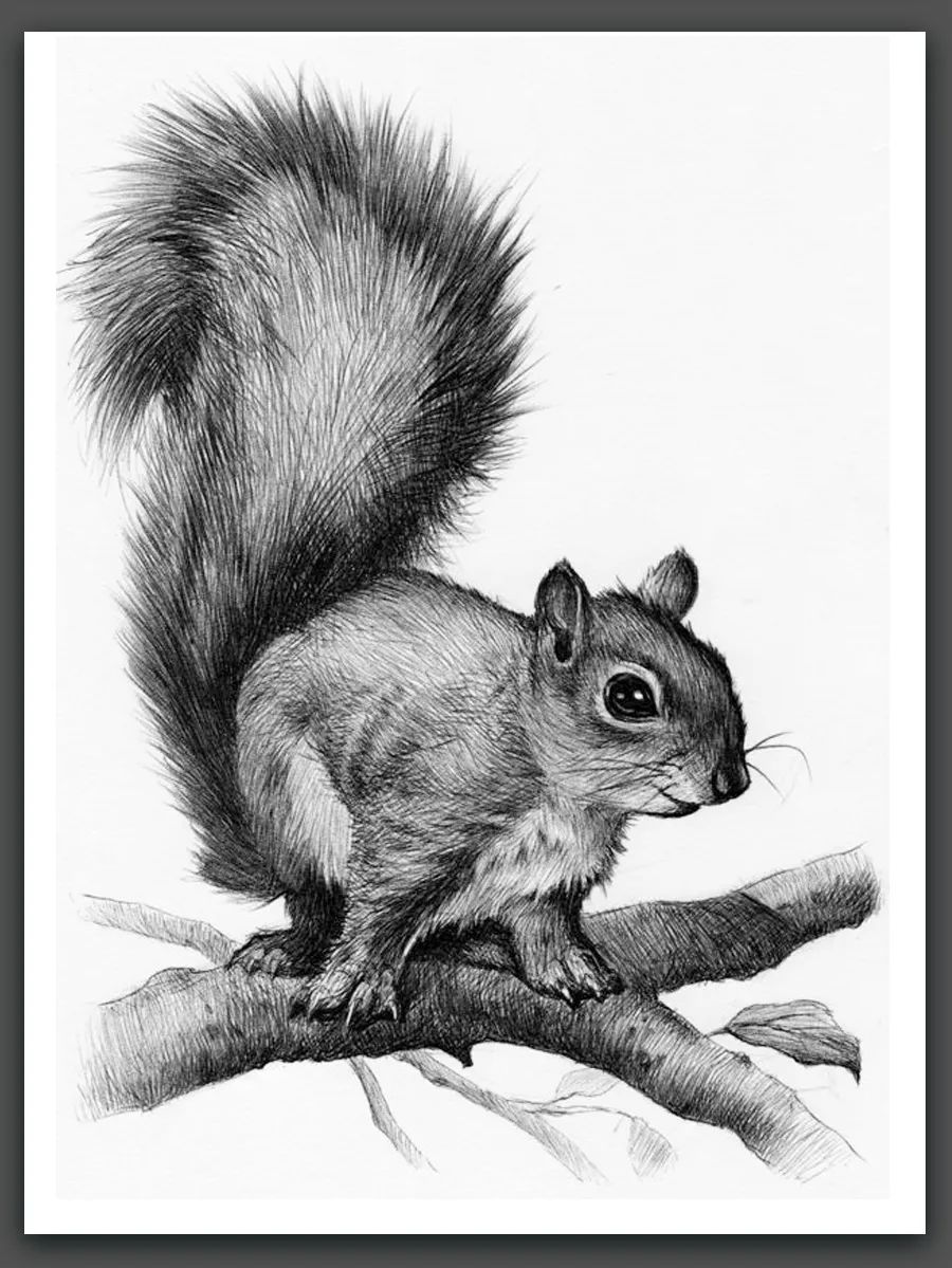 素材暑假素描课这30张优秀范画值得收藏