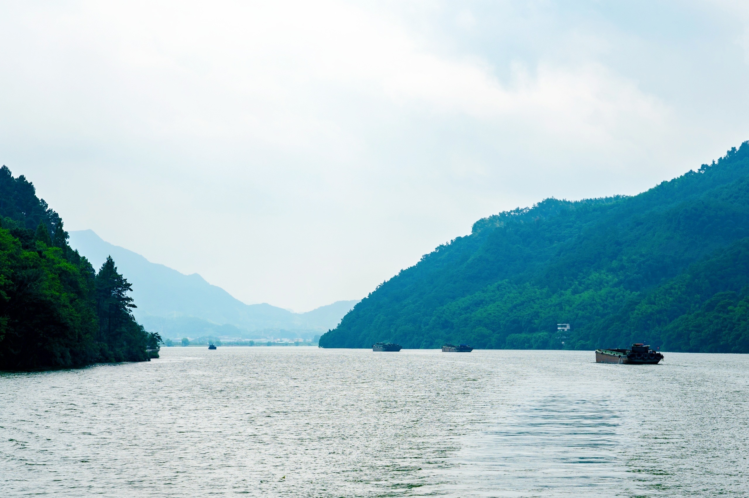 江面不时有船只漂流而过,不由得想起诗仙李白的诗句:"两岸猿声啼不住