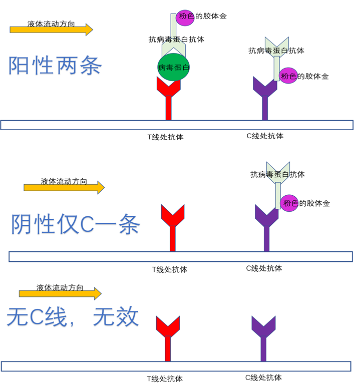 抗原检测图解图片