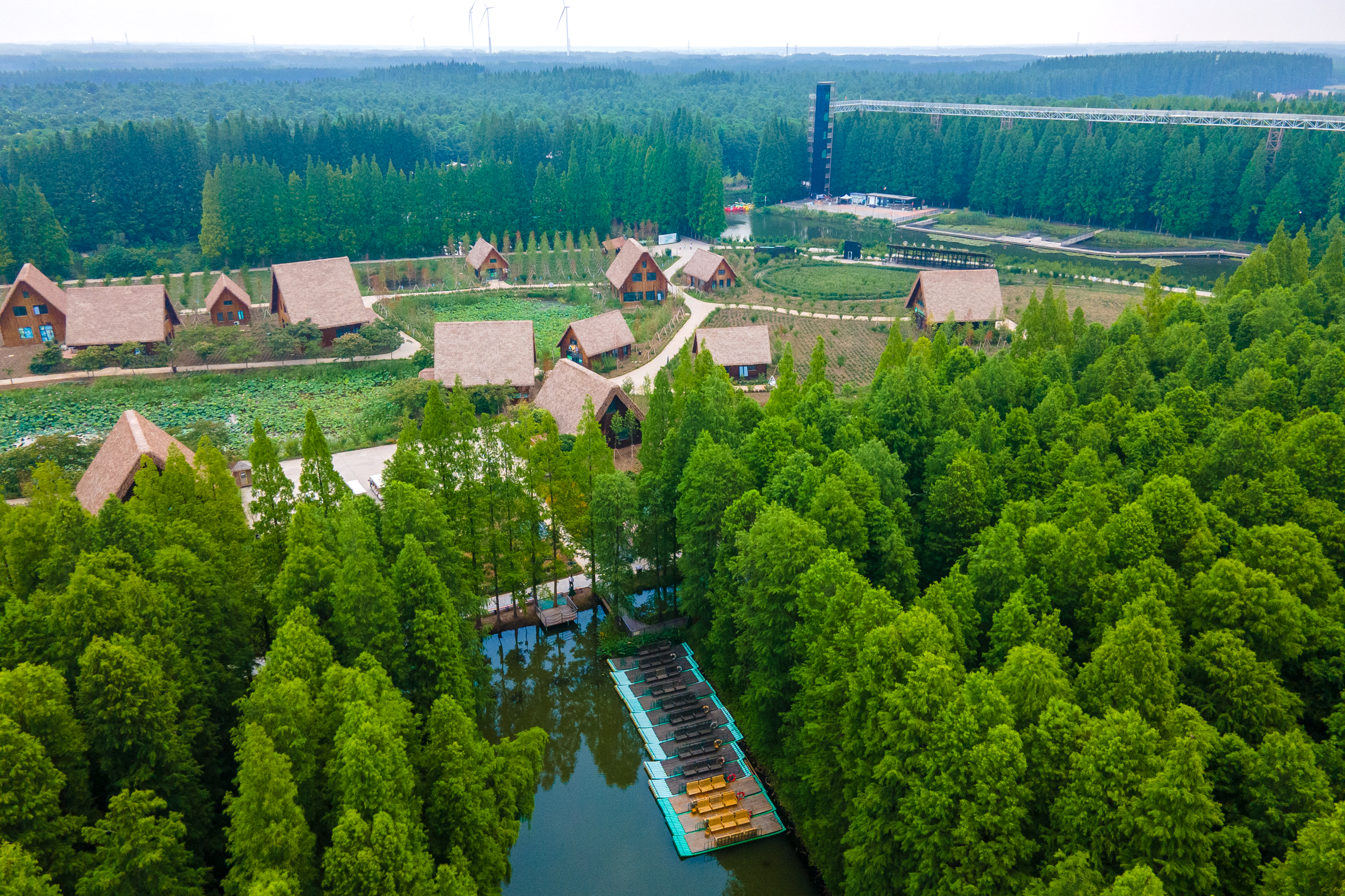 江苏有处水上森林景区超万亩的水杉林夏季游玩纳凉的好去处