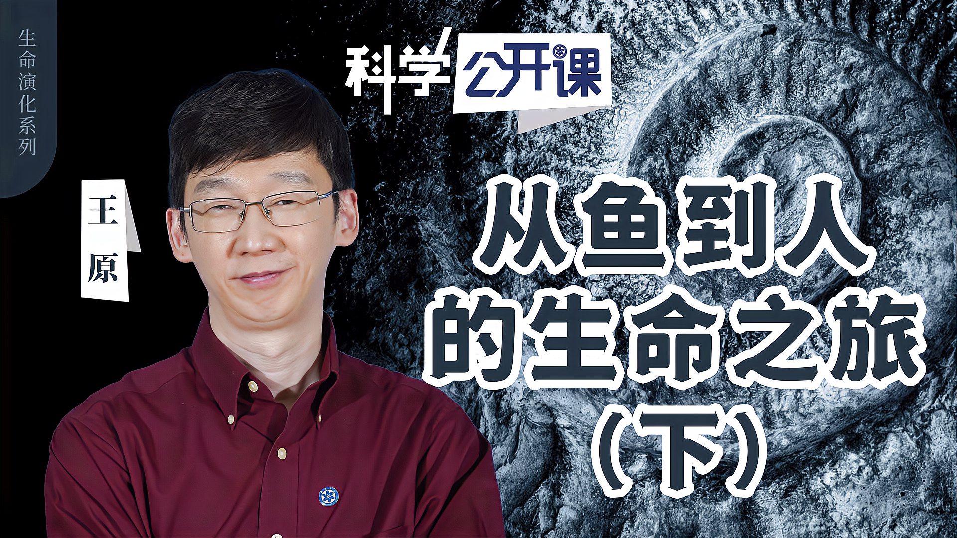 王原从鱼到人的生命之旅下中科院科学公开课