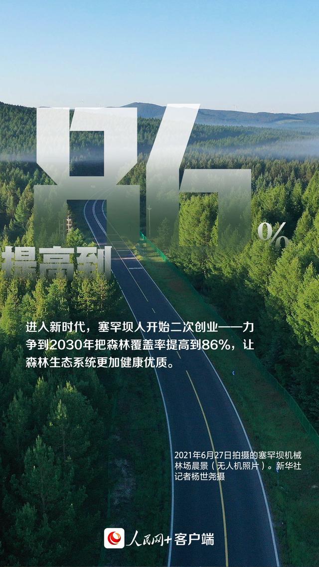这背景特真!数读塞罕坝机械林场“绿色奇迹”