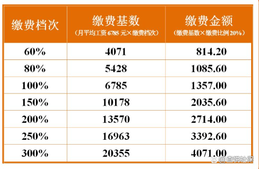 2022年成都市单位职工社保费标准