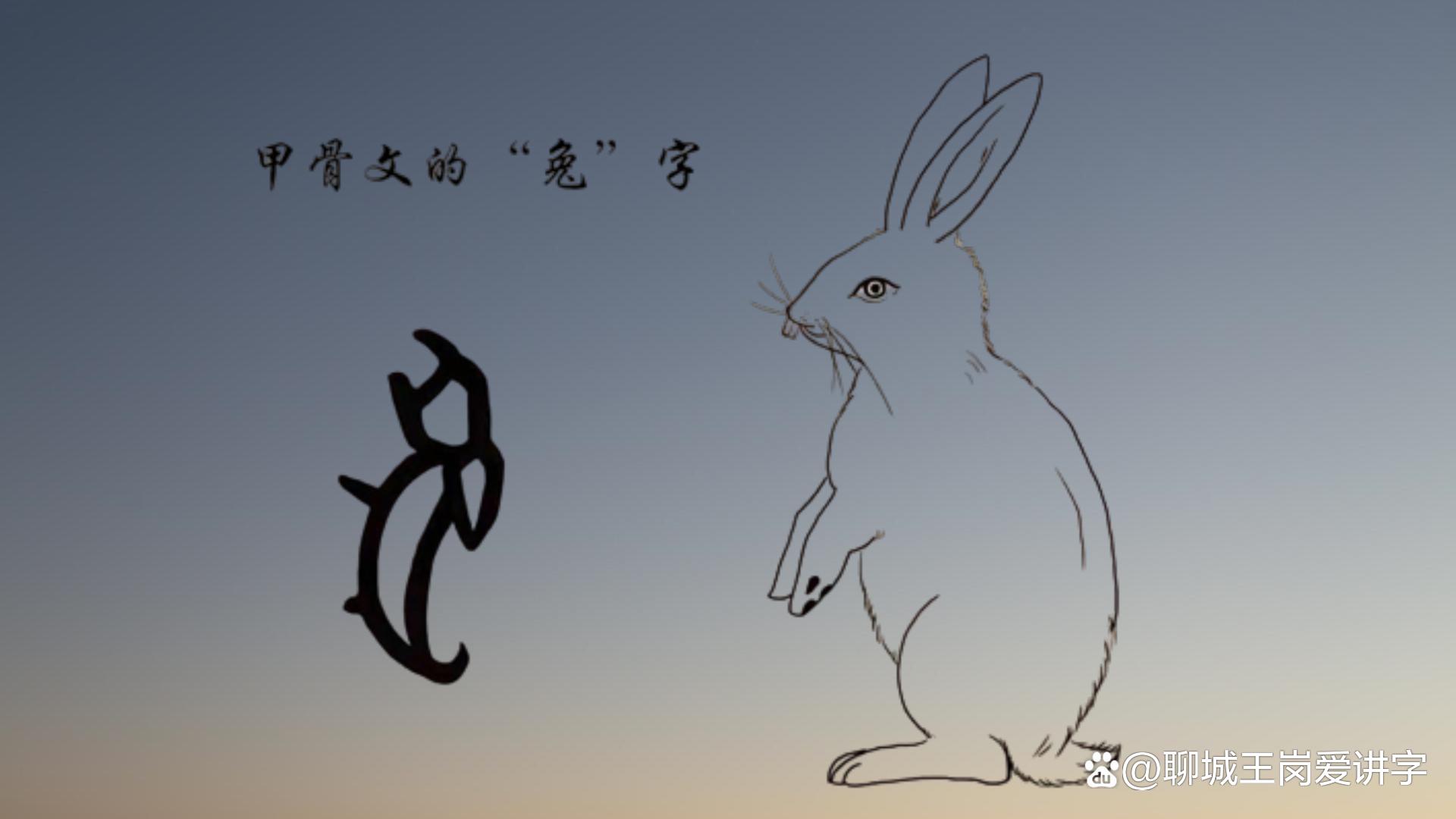 兔的甲骨文