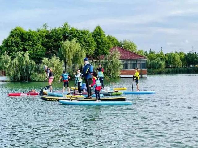 春節賞梅好去處就在寶山顧村公園愛申活暖心春