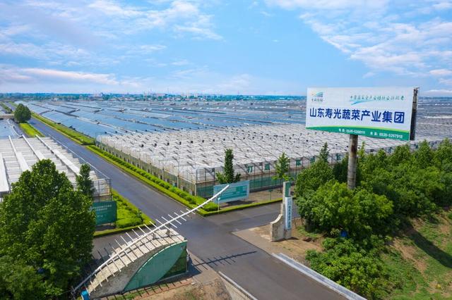 以蔬菜产业集团为例看寿光洛城街道预制菜产业发展