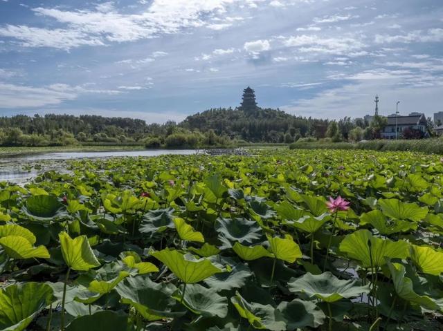 吉林四平赏四时美景思浓浓乡情