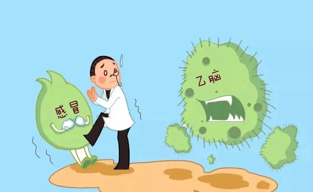 病发9天后死亡！冲上热搜的“日本脑炎”是啥病？